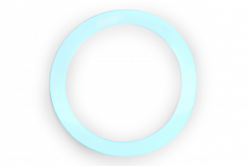 TE-1008-5 Teflon Gasket for 4-Inch Filter Holder (2 Required)