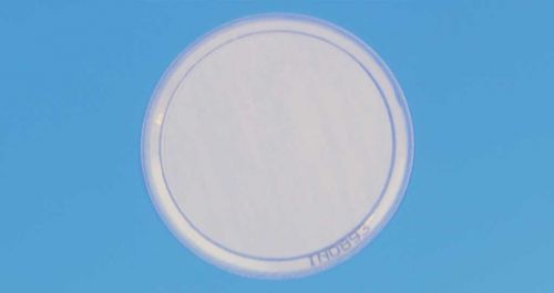 SF18040 PTFE PM2.5 Membrane Filter - 46.2mm, 2.0&micro;m, Polypropylene Ring, 50/pk